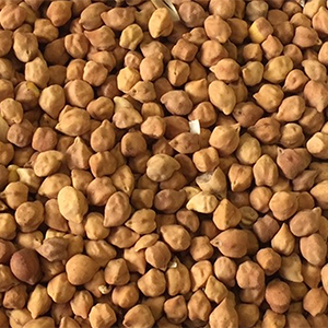 Desi Chick Peas